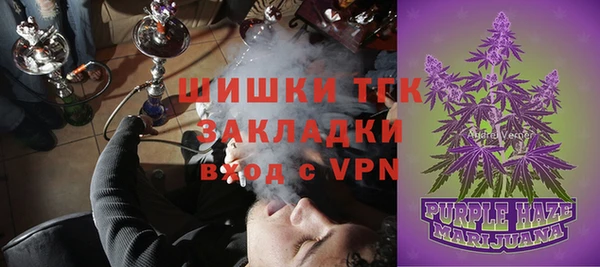 прущие грибы Верхнеуральск