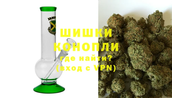 прущие грибы Верхнеуральск